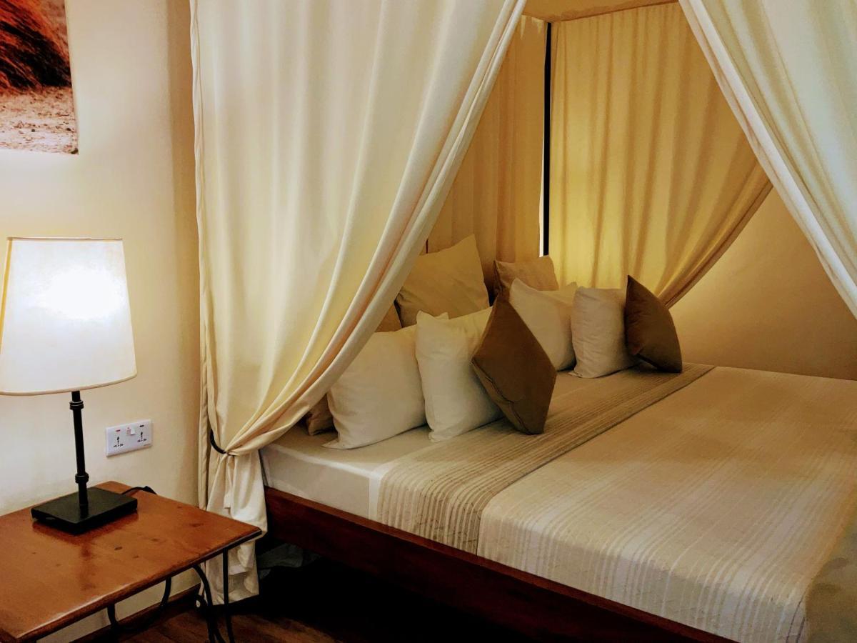 Pink Flamingo Boutique Hotel 모시 외부 사진